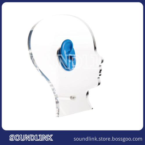 Made in China cheap acyrlic dummy display for showing hearing aids and jewelry
